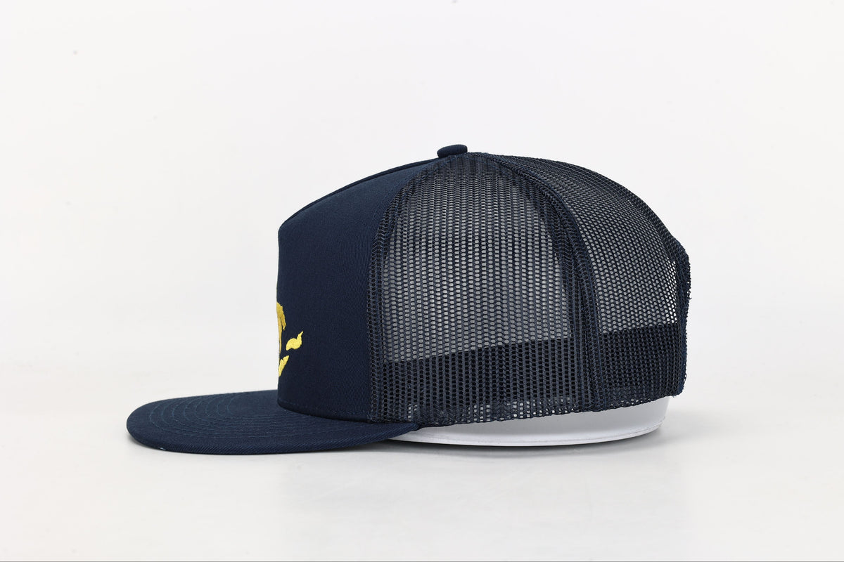 Snapback Hat: Embroidered Michigan Great Lakes- Navy/Yellow