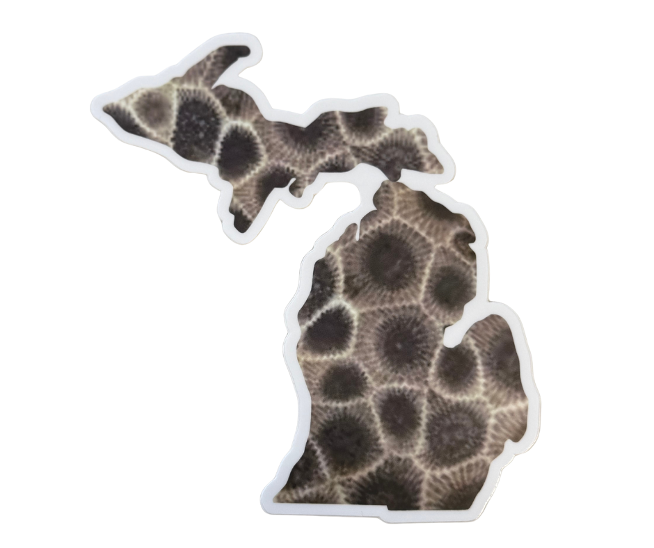 P18: Michigan Petoskey Stone (Brown)