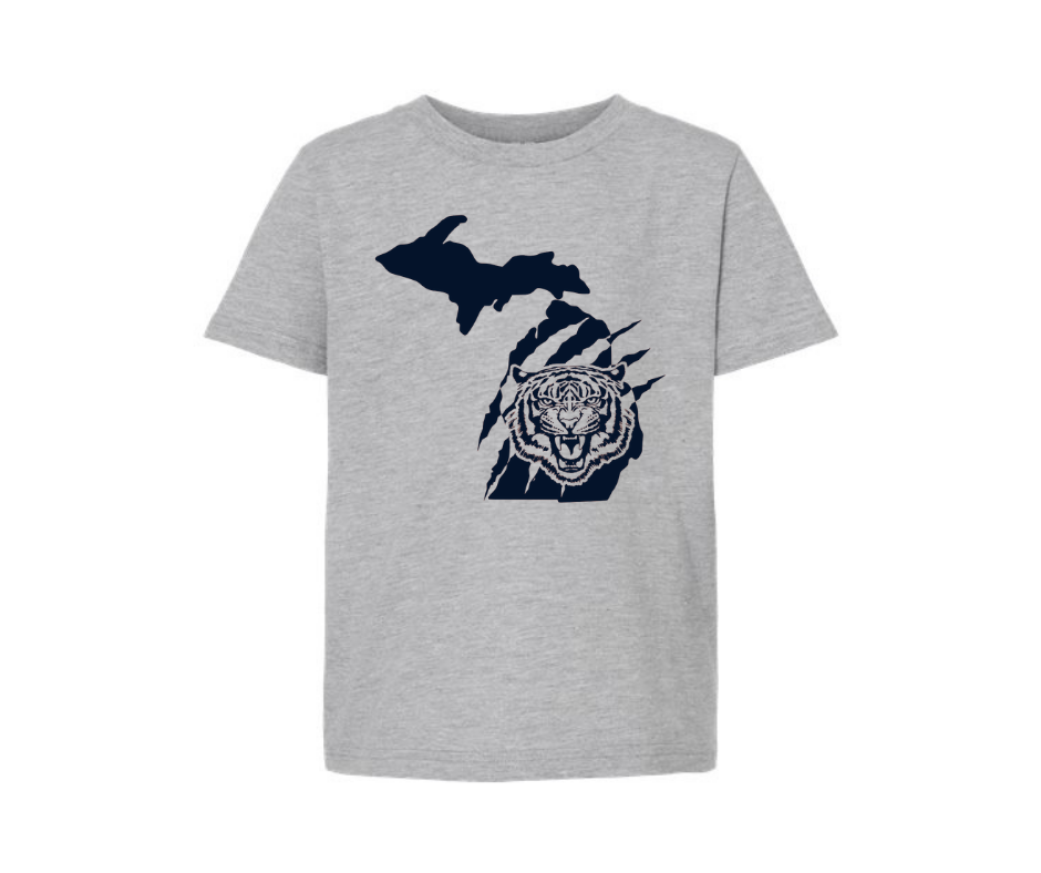 Youth T-Shirt: Detroit Tigers (Heather Grey)