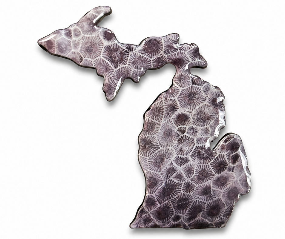 M6: Michigan Petoskey Stone Magnet