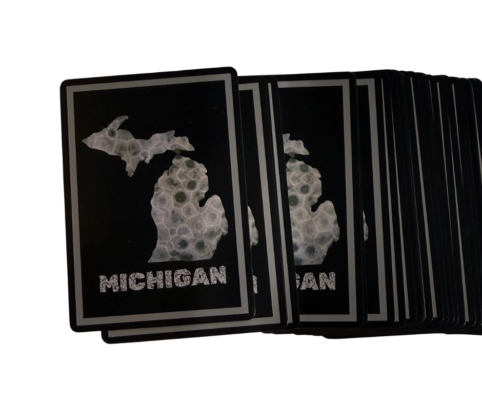 MPC7: Michigan Petoskey Stone