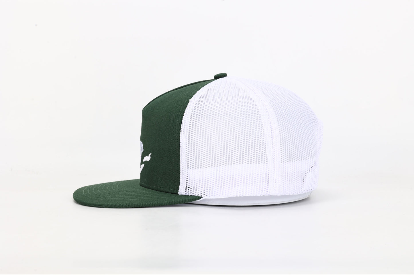 Snapback Hat: Embroidered Michigan Great Lakes- Green/White