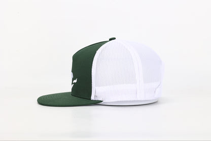 Snapback Hat: Embroidered Michigan Great Lakes- Green/White