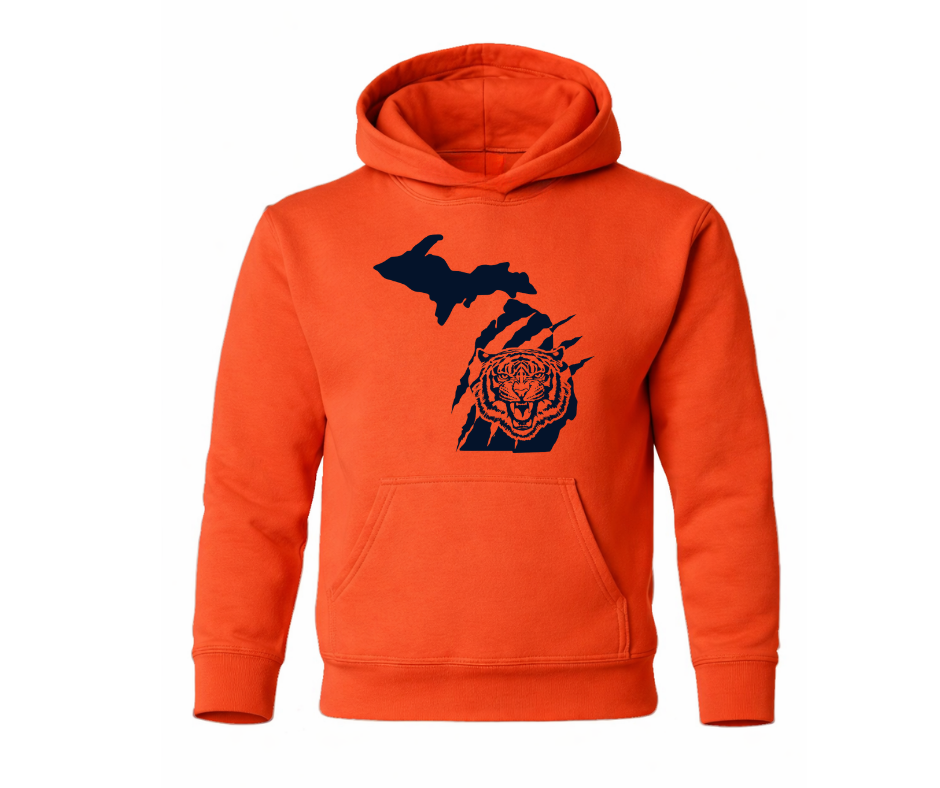 Youth Hoodie: Detroit Tigers (Orange)