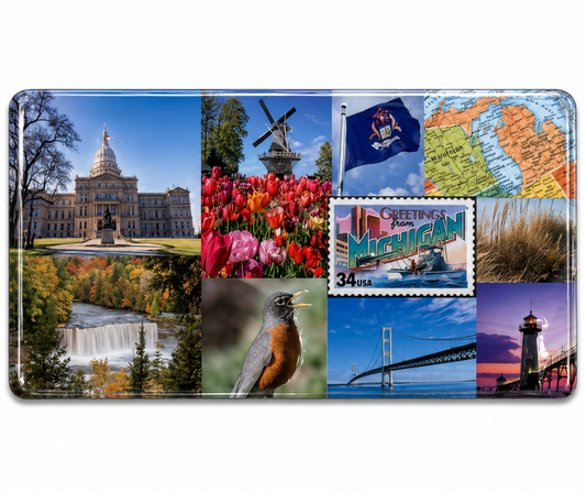 M9: Michigan Landmarks Magnet
