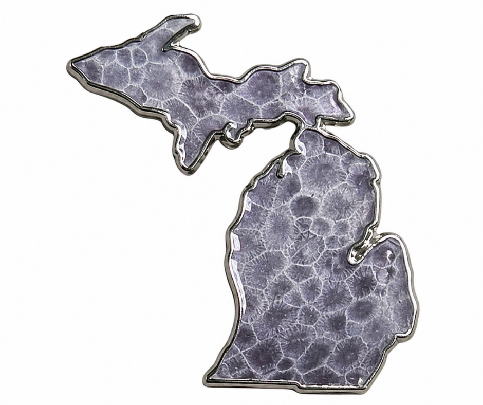 MP16: Michigan Petoskey Stone Pin