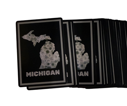 MPC7: Michigan Petoskey Stone