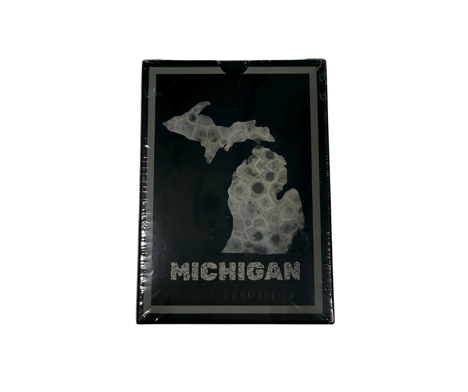 MPC7: Michigan Petoskey Stone